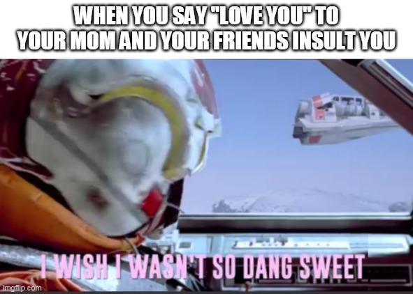 I wish I wasn't so dang sweet | WHEN YOU SAY "LOVE YOU" TO YOUR MOM AND YOUR FRIENDS INSULT YOU | image tagged in i wish i wasn't so dang sweet | made w/ Imgflip meme maker