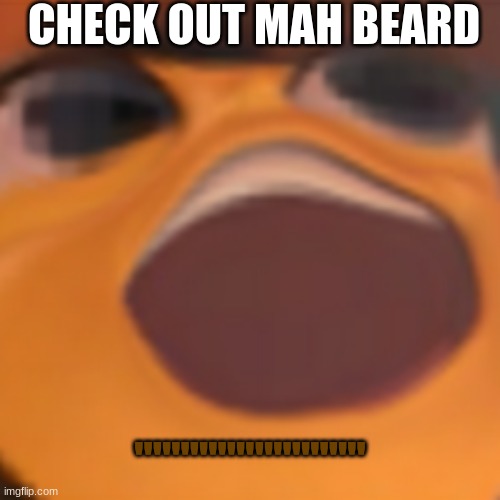 do you like jazzy beards? | CHECK OUT MAH BEARD; ''''''''''''''''''''''''' | image tagged in bees,jerry seinfeld | made w/ Imgflip meme maker