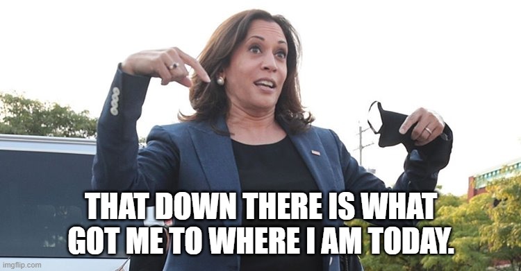 Kamala's rise | THAT DOWN THERE IS WHAT GOT ME TO WHERE I AM TODAY. | image tagged in kamala harris | made w/ Imgflip meme maker