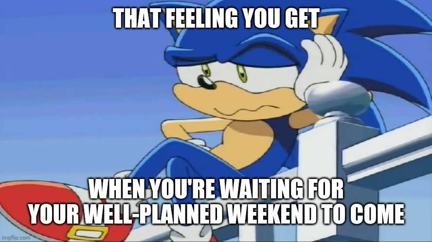 Sorry kinda starting to lose my patience a bit soooo | THAT FEELING YOU GET; WHEN YOU'RE WAITING FOR YOUR WELL-PLANNED WEEKEND TO COME | image tagged in impatient sonic - sonic x,weekend,memes | made w/ Imgflip meme maker