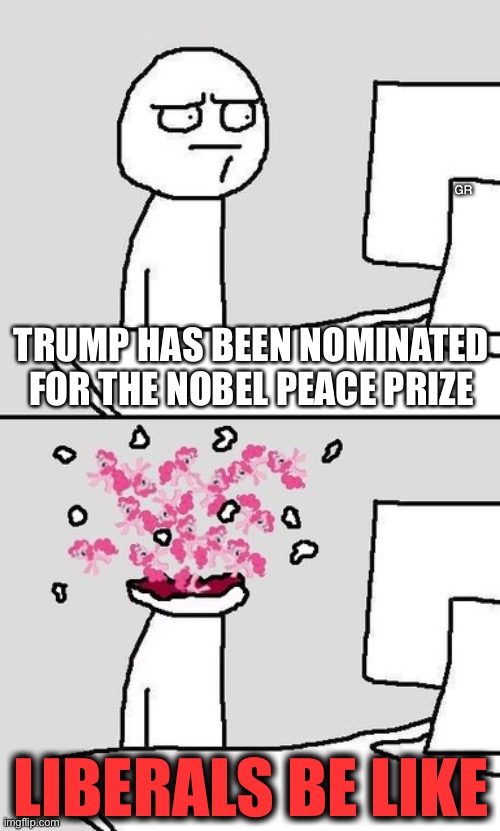 Computer Head Explode | GR; TRUMP HAS BEEN NOMINATED FOR THE NOBEL PEACE PRIZE; LIBERALS BE LIKE | image tagged in computer head explode | made w/ Imgflip meme maker