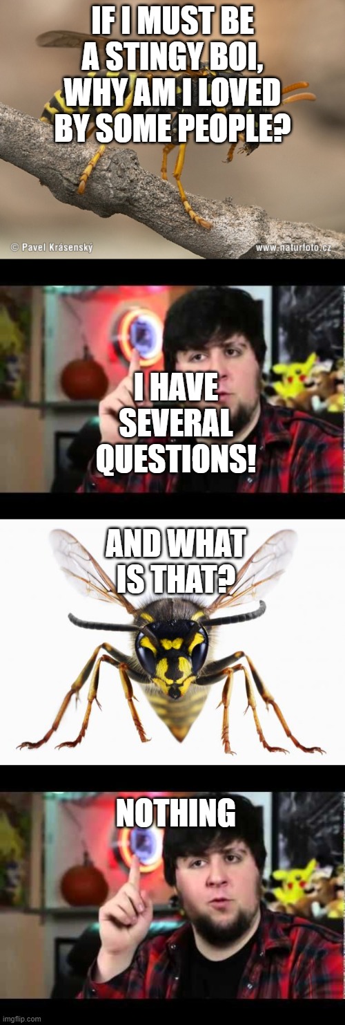 IF I MUST BE A STINGY BOI, WHY AM I LOVED BY SOME PEOPLE? I HAVE SEVERAL QUESTIONS! AND WHAT IS THAT? NOTHING | image tagged in scumbag wasp,wasp,jontron i have several questions | made w/ Imgflip meme maker