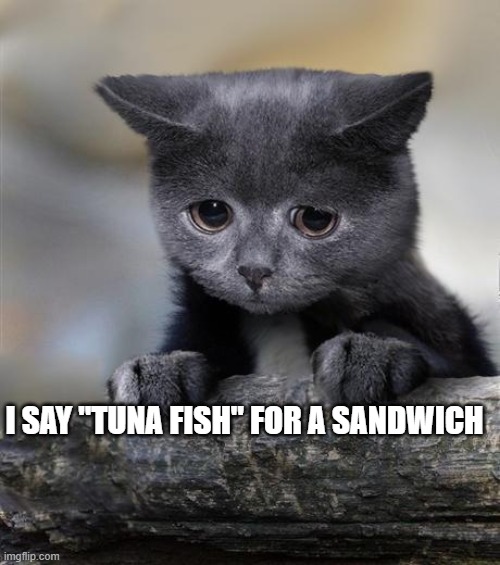 Confession Cat | I SAY "TUNA FISH" FOR A SANDWICH | image tagged in confession cat | made w/ Imgflip meme maker