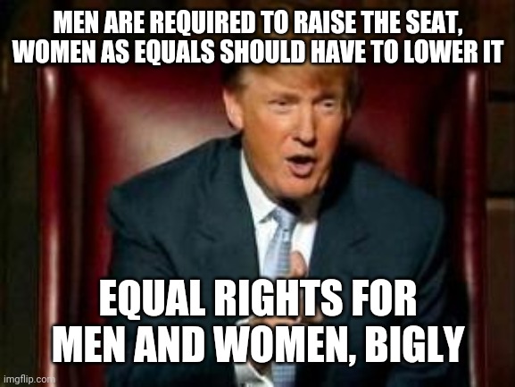 Donald Trump | MEN ARE REQUIRED TO RAISE THE SEAT, WOMEN AS EQUALS SHOULD HAVE TO LOWER IT EQUAL RIGHTS FOR MEN AND WOMEN, BIGLY | image tagged in donald trump | made w/ Imgflip meme maker