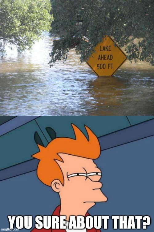 PRETTY SURE THE LAKE IS CLOSER |  YOU SURE ABOUT THAT? | image tagged in memes,futurama fry,lake,stupid signs,fail | made w/ Imgflip meme maker
