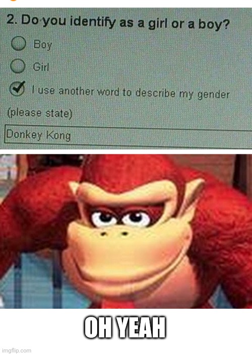 DK IS PROUD | OH YEAH | image tagged in dk love stare,donkey kong,gender | made w/ Imgflip meme maker