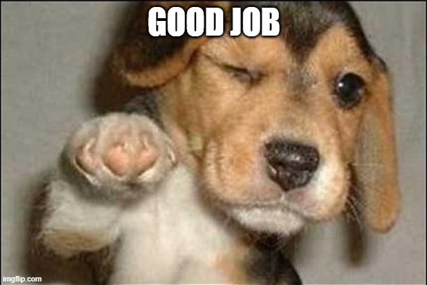good job dog | GOOD JOB | image tagged in good job dog | made w/ Imgflip meme maker