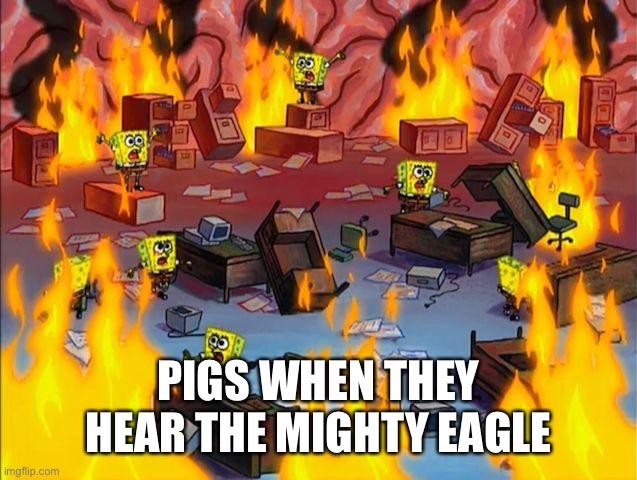 spongebob fire | PIGS WHEN THEY HEAR THE MIGHTY EAGLE | image tagged in spongebob fire,angry birds,mighty eagle,memes | made w/ Imgflip meme maker