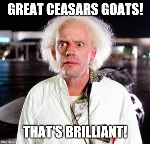 Doc Brown | GREAT CEASARS GOATS! THAT'S BRILLIANT! | image tagged in doc brown | made w/ Imgflip meme maker