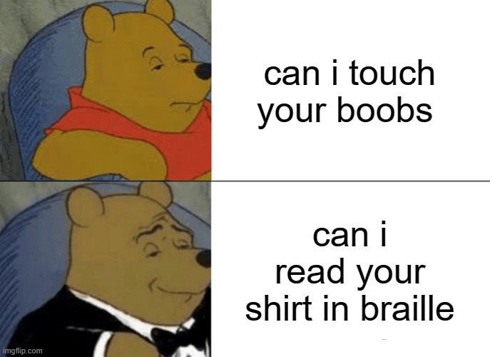 Tuxedo Winnie The Pooh Meme | can i touch your boobs; can i read your shirt in braille | image tagged in memes,tuxedo winnie the pooh | made w/ Imgflip meme maker