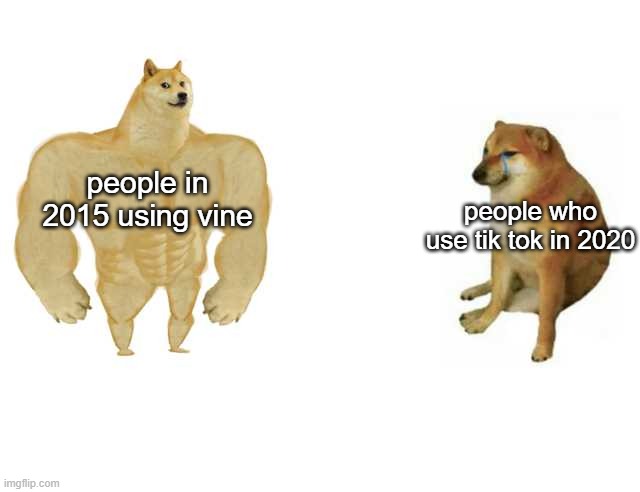 R.I.P vine | people who use tik tok in 2020; people in 2015 using vine | image tagged in strong doge weak doge,memes | made w/ Imgflip meme maker