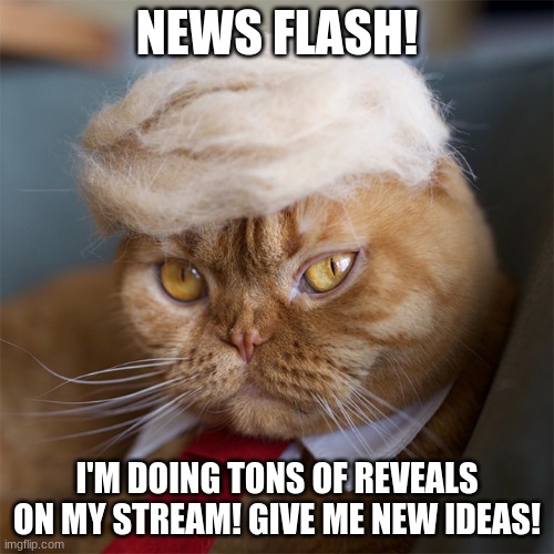 Join my stream for reveals of your choice!    https://imgflip.com/m/RocketcatM30W | NEWS FLASH! I'M DOING TONS OF REVEALS ON MY STREAM! GIVE ME NEW IDEAS! | image tagged in fake news cat | made w/ Imgflip meme maker