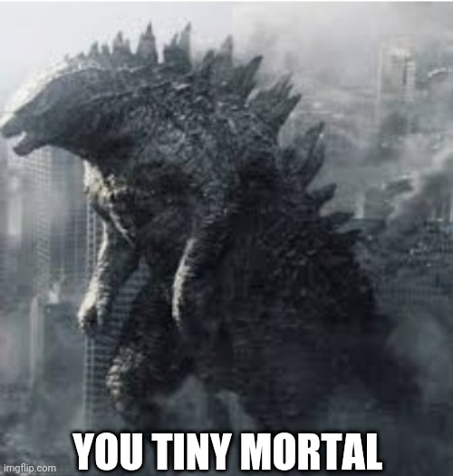 YOU TINY MORTAL | image tagged in you tiny mortal godzilla | made w/ Imgflip meme maker