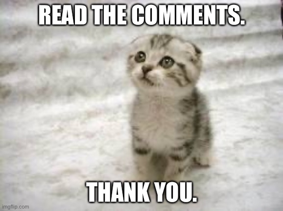 Sad Cat | READ THE COMMENTS. THANK YOU. | image tagged in memes,sad cat | made w/ Imgflip meme maker