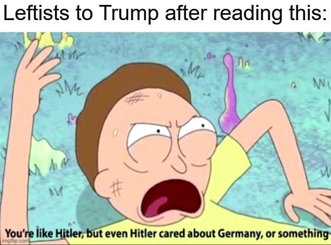 You're like Hitler | Leftists to Trump after reading this: | image tagged in you're like hitler | made w/ Imgflip meme maker