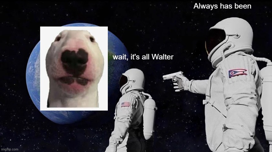 Its all Walter??? | Always has been; wait, it's all Walter | image tagged in always has been | made w/ Imgflip meme maker