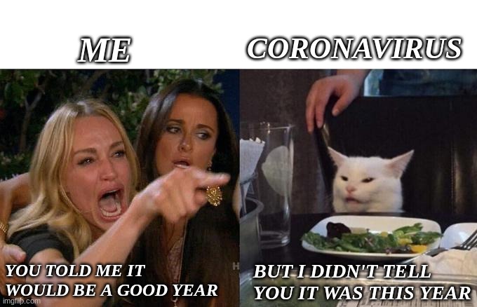 Woman Yelling At Cat | CORONAVIRUS; ME; YOU TOLD ME IT WOULD BE A GOOD YEAR; BUT I DIDN'T TELL YOU IT WAS THIS YEAR | image tagged in memes,woman yelling at cat | made w/ Imgflip meme maker
