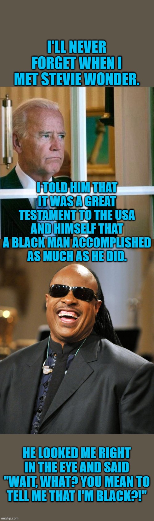 Joe had to break it to him. | I'LL NEVER FORGET WHEN I MET STEVIE WONDER. I TOLD HIM THAT IT WAS A GREAT TESTAMENT TO THE USA AND HIMSELF THAT A BLACK MAN ACCOMPLISHED AS MUCH AS HE DID. HE LOOKED ME RIGHT IN THE EYE AND SAID "WAIT, WHAT? YOU MEAN TO TELL ME THAT I'M BLACK?!" | image tagged in stevie wonder,sad joe biden,black | made w/ Imgflip meme maker