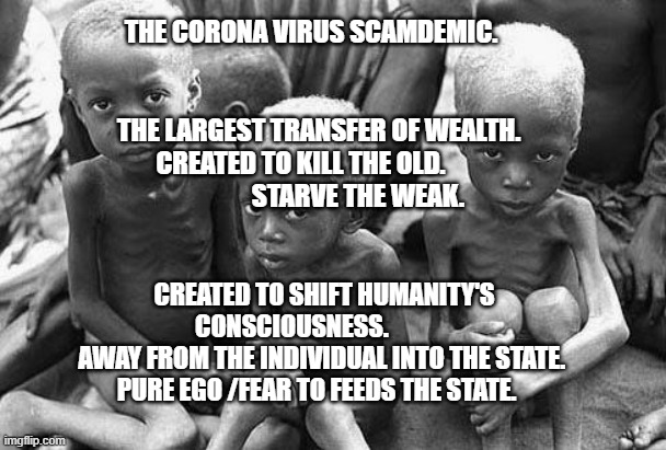 starving africans | THE CORONA VIRUS SCAMDEMIC.                                                   
   THE LARGEST TRANSFER OF WEALTH. CREATED TO KILL THE OLD.                         STARVE THE WEAK. CREATED TO SHIFT HUMANITY'S CONSCIOUSNESS.             
  AWAY FROM THE INDIVIDUAL INTO THE STATE.      PURE EGO /FEAR TO FEEDS THE STATE. | image tagged in starving africans | made w/ Imgflip meme maker
