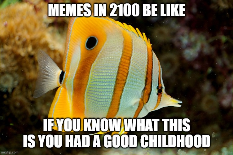 Memes in 2100 | MEMES IN 2100 BE LIKE; IF YOU KNOW WHAT THIS IS YOU HAD A GOOD CHILDHOOD | image tagged in fish | made w/ Imgflip meme maker