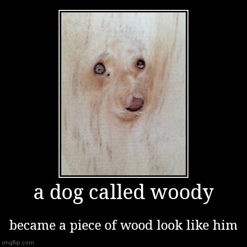 wood dog | image tagged in funny,demotivationals | made w/ Imgflip demotivational maker