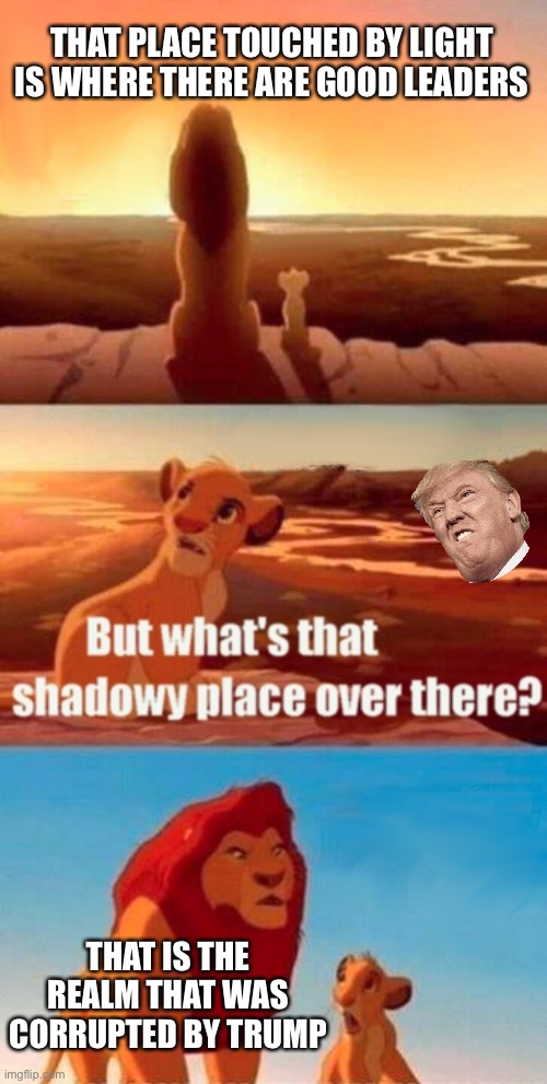 Simba Shadowy Place | THAT PLACE TOUCHED BY LIGHT IS WHERE THERE ARE GOOD LEADERS; THAT IS THE REALM THAT WAS CORRUPTED BY TRUMP | image tagged in memes,simba shadowy place | made w/ Imgflip meme maker