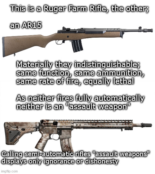semi-automatic rifles | This is a Ruger Farm Rifle, the other; 
 
an AR15; Materially they indistinguishable; 
same function, same ammunition,
same rate of fire, equally lethal
 
As neither fires fully automatically 
neither is an "assault weapon"; Calling semi-automatic rifles "assault weapons"

displays only ignorance or dishonesty | image tagged in gun control | made w/ Imgflip meme maker