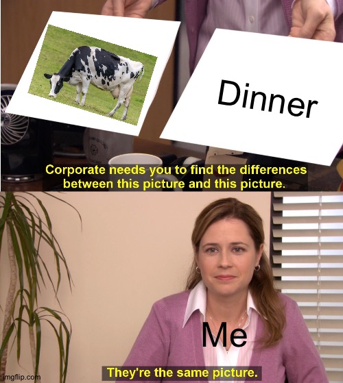They're The Same Picture Meme | Dinner; Me | image tagged in memes,they're the same picture | made w/ Imgflip meme maker