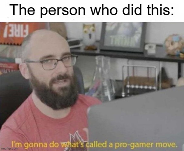 Pro Gamer move | The person who did this: | image tagged in pro gamer move | made w/ Imgflip meme maker