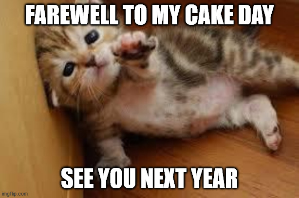Sad Kitten Goodbye | FAREWELL TO MY CAKE DAY; SEE YOU NEXT YEAR | image tagged in sad kitten goodbye,memes | made w/ Imgflip meme maker
