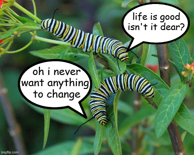Little did they know.... | life is good isn't it dear? oh i never want anything 
to change | image tagged in caterpillar02,change | made w/ Imgflip meme maker