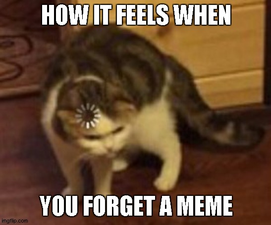 bruh... i forgot then had to make this one | HOW IT FEELS WHEN; YOU FORGET A MEME | image tagged in loading cat | made w/ Imgflip meme maker