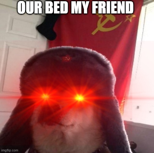 Our bed | OUR BED MY FRIEND | image tagged in communist dog | made w/ Imgflip meme maker