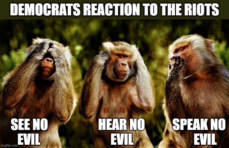 monkey see no evil hear no evil speak no evil |  DEMOCRATS REACTION TO THE RIOTS; SEE NO                    HEAR NO           SPEAK NO
      EVIL                            EVIL                        EVIL | image tagged in political meme,democrats,riots,evil,monkeys,reaction | made w/ Imgflip meme maker