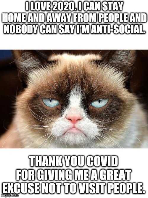 Title image | I LOVE 2020. I CAN STAY HOME AND AWAY FROM PEOPLE AND NOBODY CAN SAY I'M ANTI-SOCIAL. THANK YOU COVID FOR GIVING ME A GREAT EXCUSE NOT TO VISIT PEOPLE. | image tagged in memes,grumpy cat not amused,grumpy cat,funny,covid-19 | made w/ Imgflip meme maker