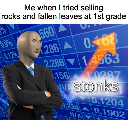 stonks | Me when I tried selling rocks and fallen leaves at 1st grade | image tagged in stonks | made w/ Imgflip meme maker