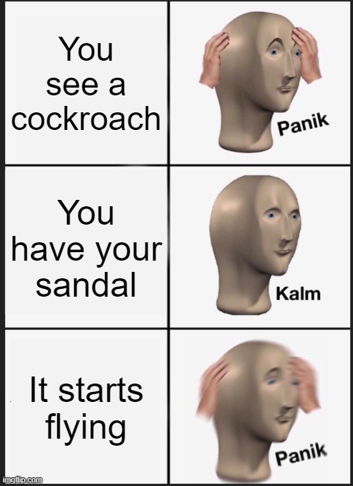 Yikes | You see a cockroach; You have your sandal; It starts flying | image tagged in memes,panik kalm panik | made w/ Imgflip meme maker