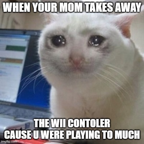 crying cat | WHEN YOUR MOM TAKES AWAY; THE WII CONTOLER CAUSE U WERE PLAYING TO MUCH | image tagged in crying cat,sad cat,cats,funny,smh,memes | made w/ Imgflip meme maker