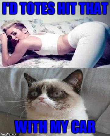 I'd Hit That  | image tagged in i'd hit that,memes,grumpy cat,miley cyrus,funny | made w/ Imgflip meme maker