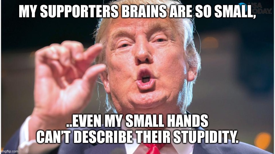 Donald Trump small brain | MY SUPPORTERS BRAINS ARE SO SMALL, ..EVEN MY SMALL HANDS CAN’T DESCRIBE THEIR STUPIDITY. | image tagged in donald trump small brain | made w/ Imgflip meme maker