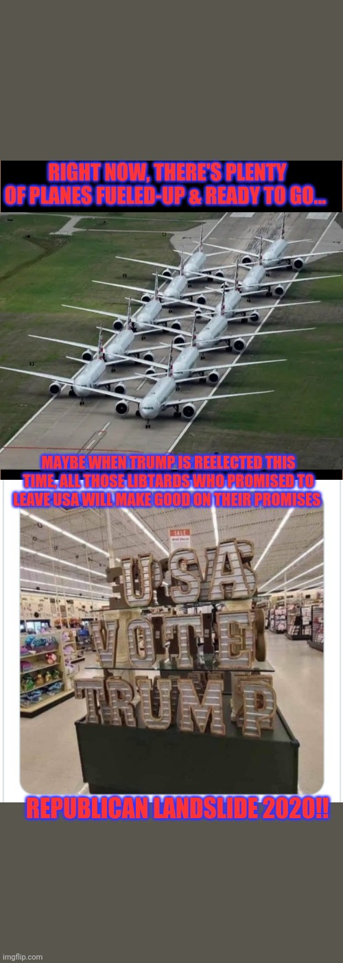 Do us all a favor Moonbats-  Adios! | RIGHT NOW, THERE'S PLENTY OF PLANES FUELED-UP & READY TO GO... MAYBE WHEN TRUMP IS REELECTED THIS TIME, ALL THOSE LIBTARDS WHO PROMISED TO LEAVE USA WILL MAKE GOOD ON THEIR PROMISES; REPUBLICAN LANDSLIDE 2020!! | image tagged in liberal hypocrisy,morons,angry liberal,douchebag,vote,trump 2020 | made w/ Imgflip meme maker