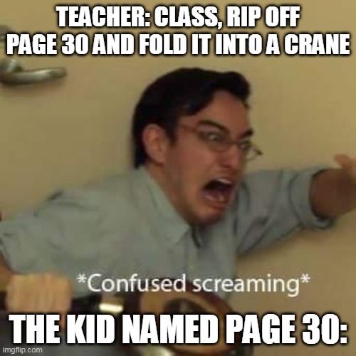 filthy frank confused scream | TEACHER: CLASS, RIP OFF PAGE 30 AND FOLD IT INTO A CRANE; THE KID NAMED PAGE 30: | image tagged in filthy frank confused scream | made w/ Imgflip meme maker