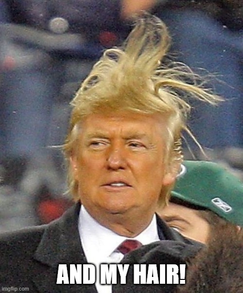 Donald Trumph hair | AND MY HAIR! | image tagged in donald trumph hair | made w/ Imgflip meme maker