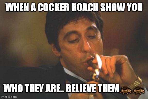 Scarface Serious | WHEN A COCKER ROACH SHOW YOU; WHO THEY ARE.. BELIEVE THEM🦗🦗 | image tagged in scarface serious | made w/ Imgflip meme maker