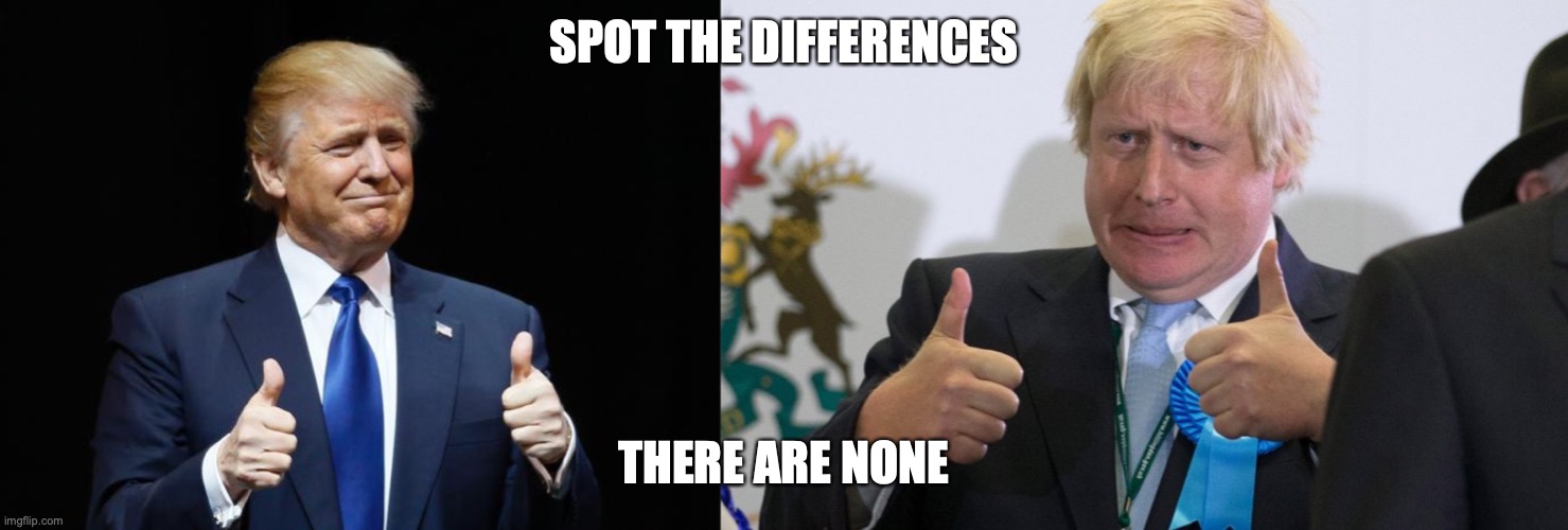 SPOT THE DIFFERENCES; THERE ARE NONE | image tagged in boris johnson,donald trump thumbs up | made w/ Imgflip meme maker