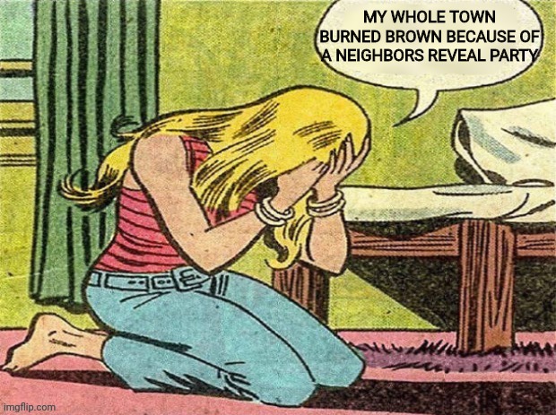 Crying Girl | MY WHOLE TOWN BURNED BROWN BECAUSE OF A NEIGHBORS REVEAL PARTY | image tagged in crying girl | made w/ Imgflip meme maker