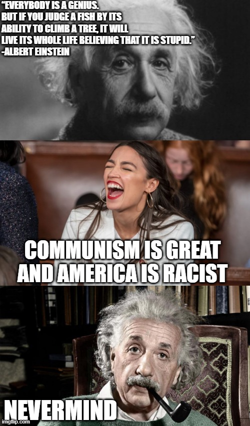Everyone is a genius... never mind. | “EVERYBODY IS A GENIUS. BUT IF YOU JUDGE A FISH BY ITS ABILITY TO CLIMB A TREE, IT WILL LIVE ITS WHOLE LIFE BELIEVING THAT IT IS STUPID.”
-ALBERT EINSTEIN; COMMUNISM IS GREAT AND AMERICA IS RACIST; NEVERMIND | image tagged in aoc,einstein | made w/ Imgflip meme maker