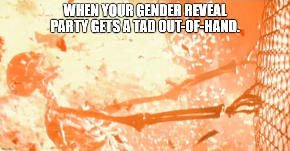 Burn Baby Burn! | WHEN YOUR GENDER REVEAL PARTY GETS A TAD OUT-OF-HAND. | image tagged in gender reveal | made w/ Imgflip meme maker