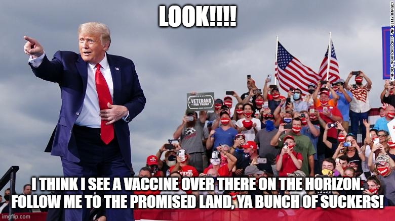 The Fried Piper | LOOK!!!! I THINK I SEE A VACCINE OVER THERE ON THE HORIZON. FOLLOW ME TO THE PROMISED LAND, YA BUNCH OF SUCKERS! | image tagged in trump,loser,liar,failing | made w/ Imgflip meme maker