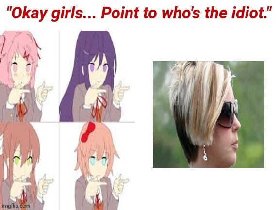 Okay girls who's the idiot | image tagged in okay girls who's the idiot | made w/ Imgflip meme maker